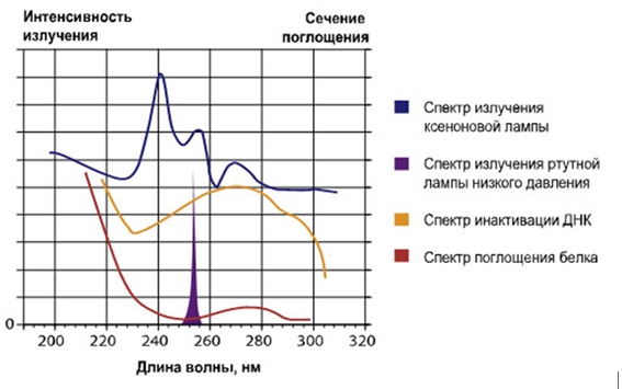 Относительные значения спектров излучения ламп и поглощения ДНК и белков